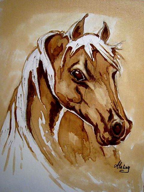 Arabian Horse