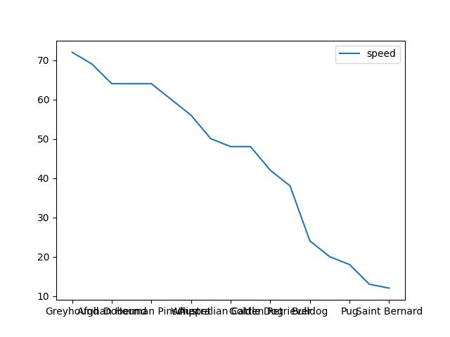  Dog Breeds With Speed In Km/H
