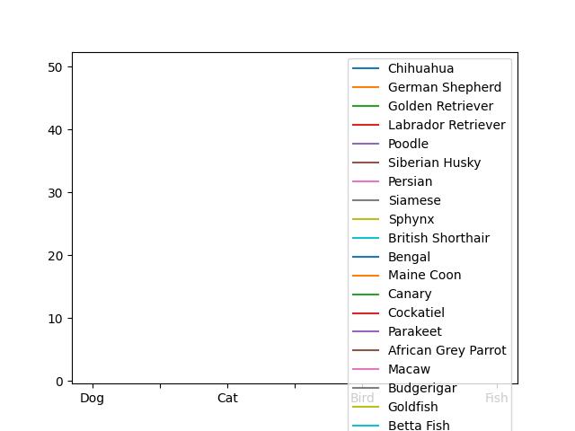  Pets And Their Lifespans